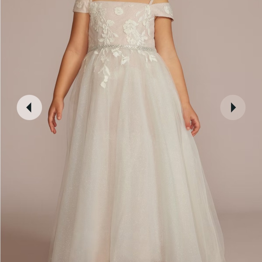 David's Bridal Cream Floral Kids Dress